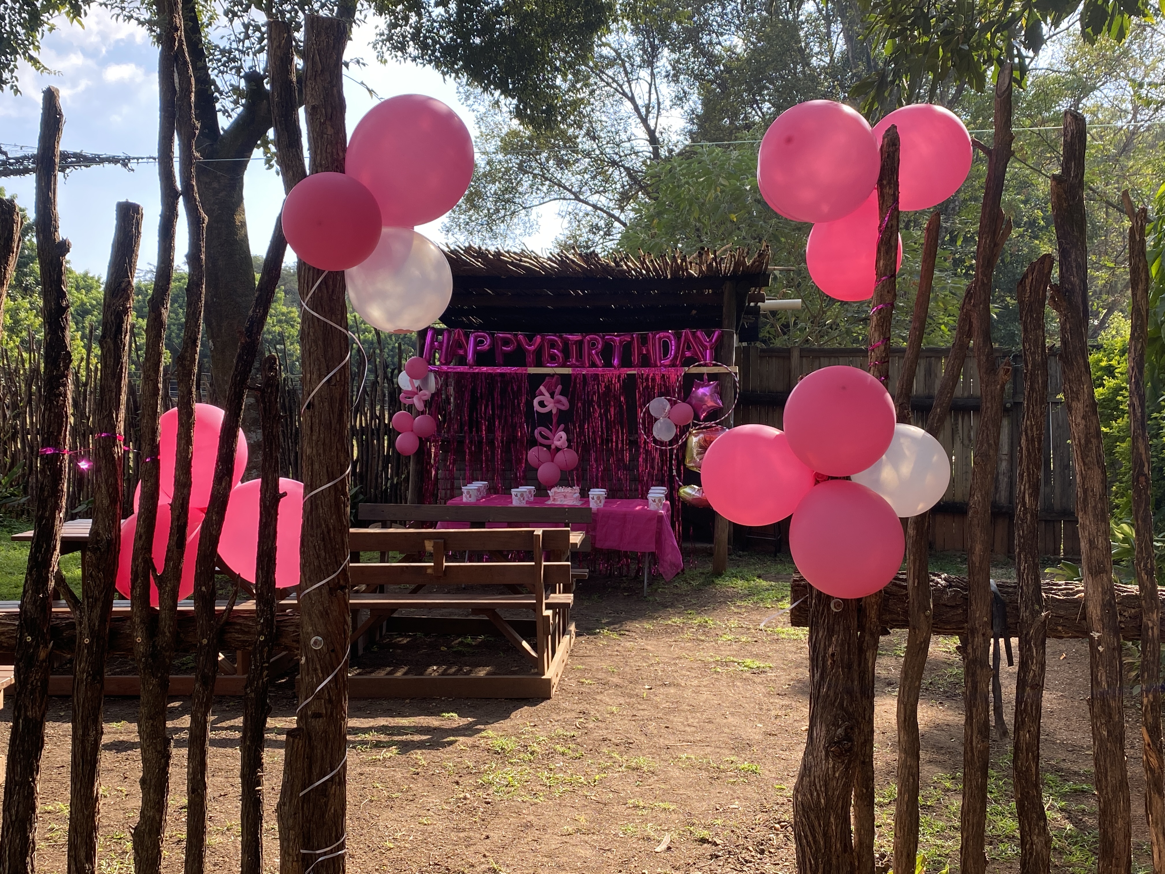 Kids parties at Safari