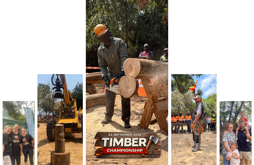 Timber Champs 2026