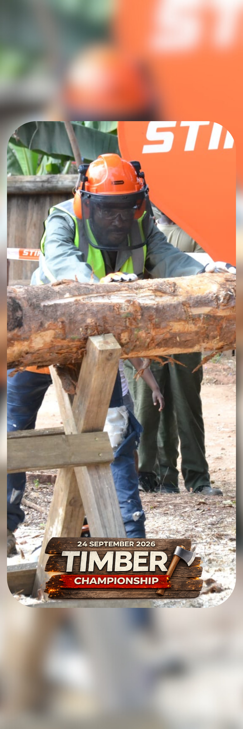 Timber Competitions